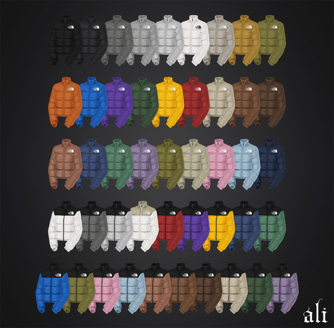 Галерея мода Женская куртка THE NORTH FACE #2